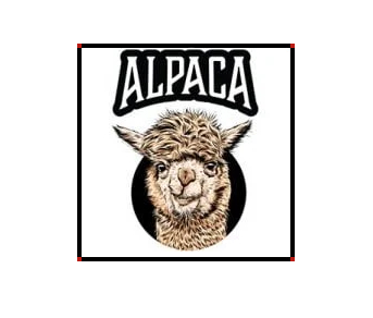 Alpaca